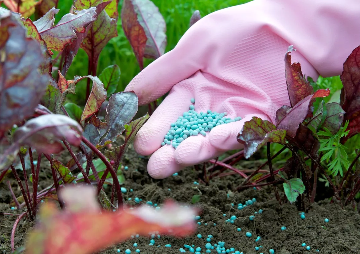 Nawóz jesienny trawnik  3 kg