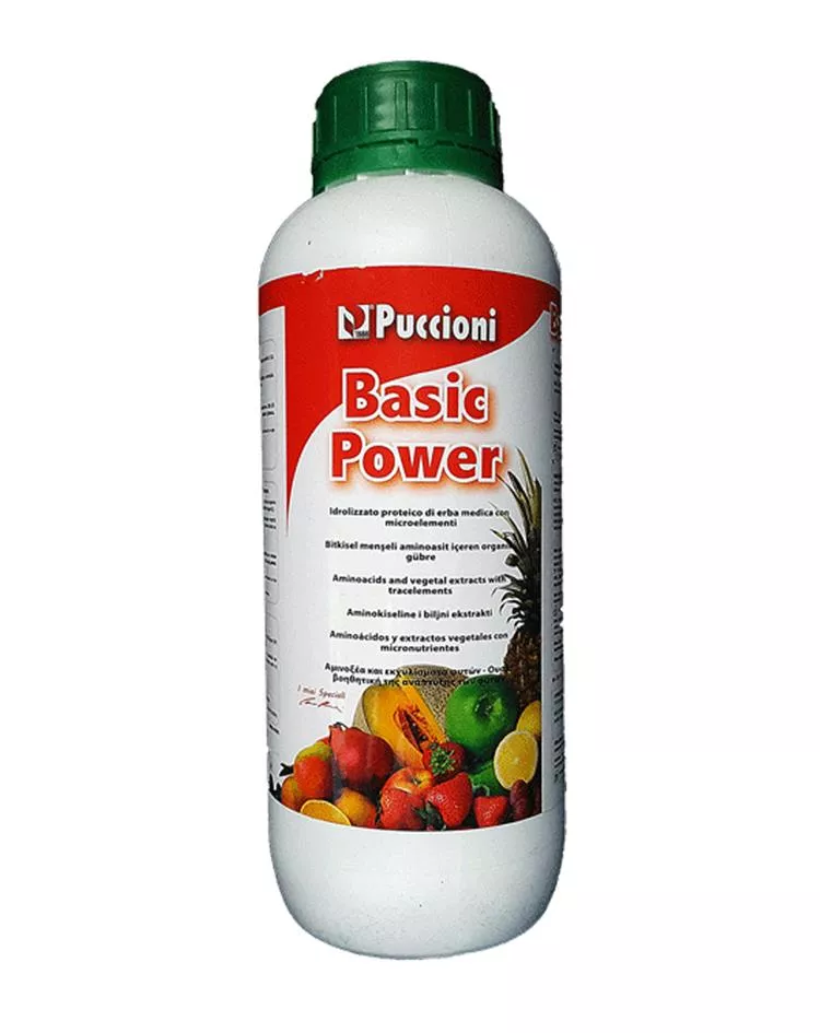 Bioaktywator Basic Power 1 L Puccioni