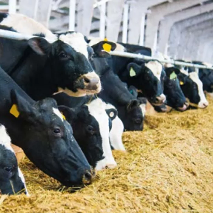 Agro Milk specjal Top 20kg -instant