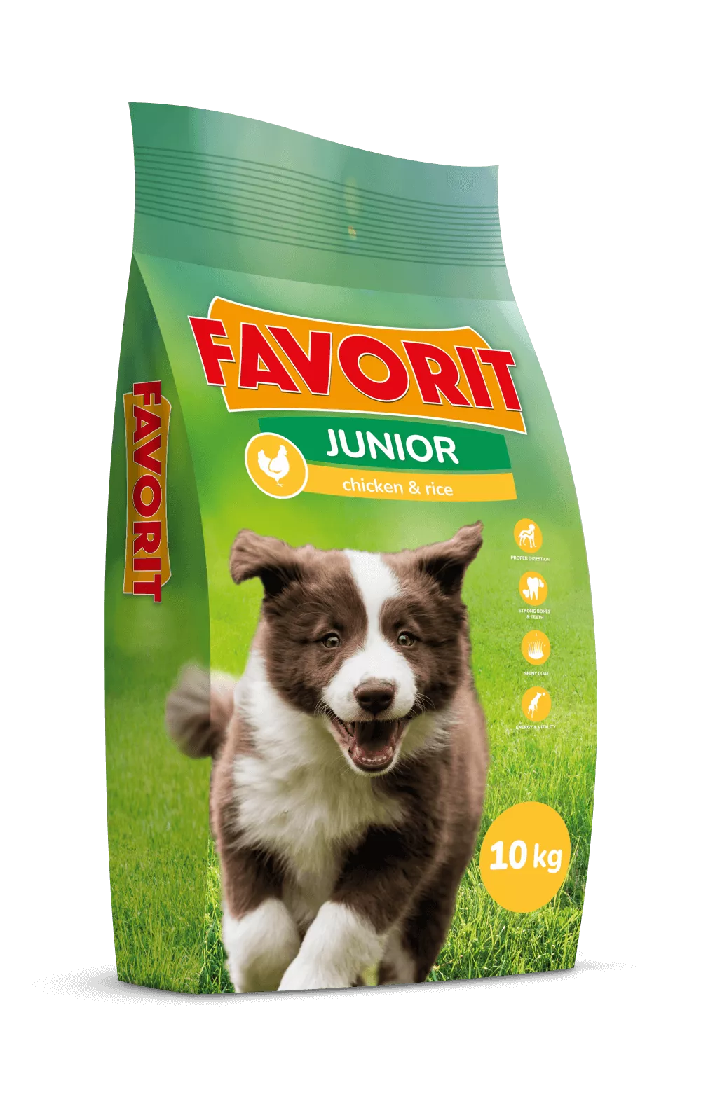 Karma dla szczeniąt z kurczakiem 3 kg Favorit 