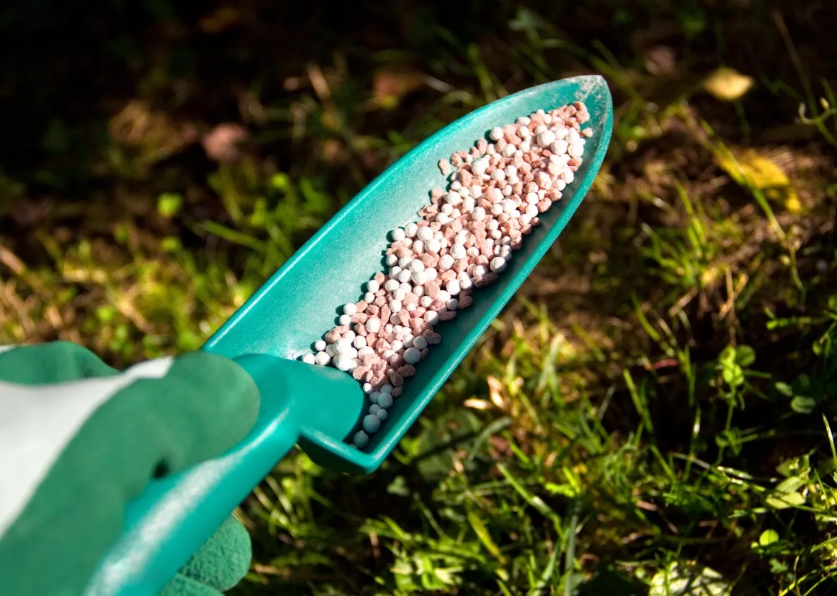 Fructus trawnik jesienny  5 kg