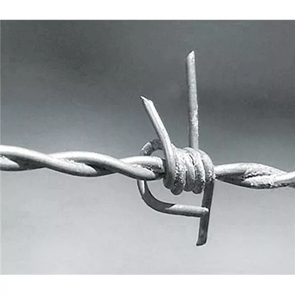 Kolczasty drut 100 m rolka