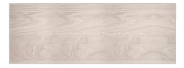 Impregnat do drewna Drewnochron  4.5 l biały