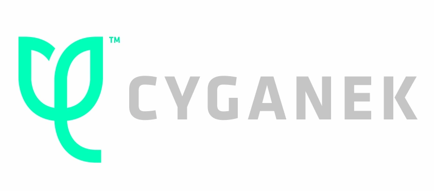 Cyganek