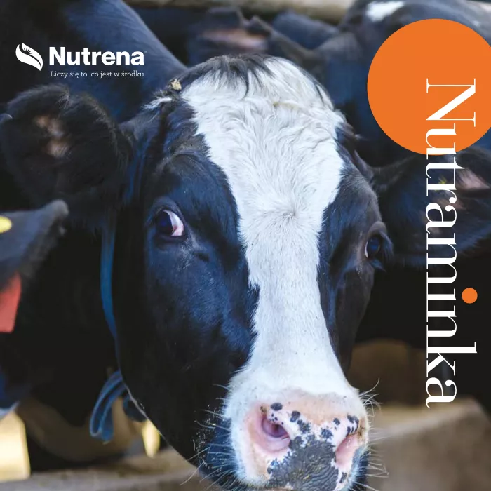 Nutraminka max Non Gmo - 20 kg