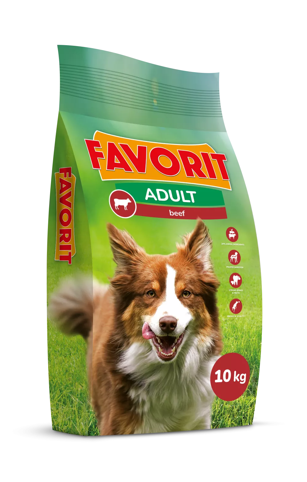 Karma dla psa wołowina 10 kg Favorit 