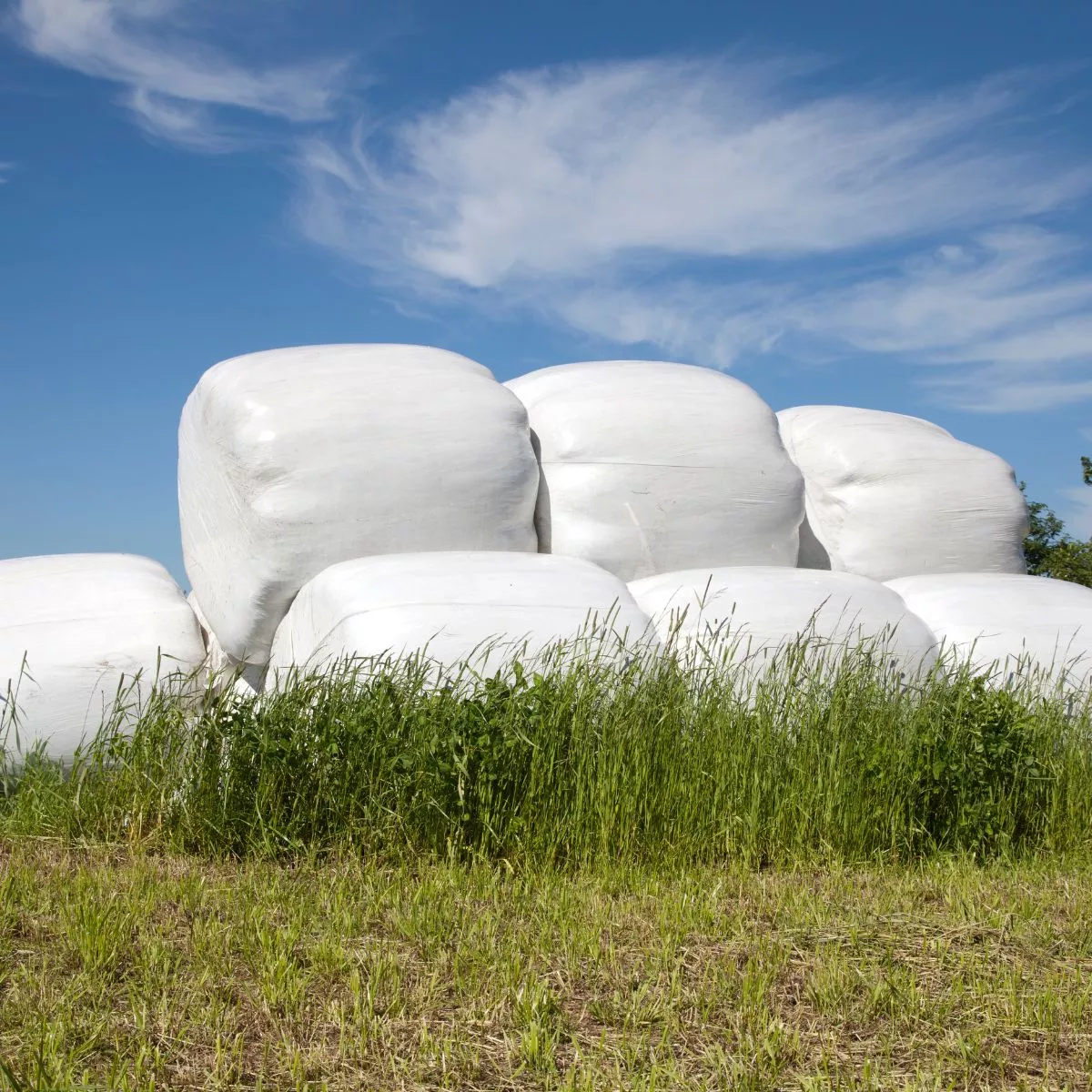 Sznurek do snopowiązałki, prasy 3000 m FN BALER