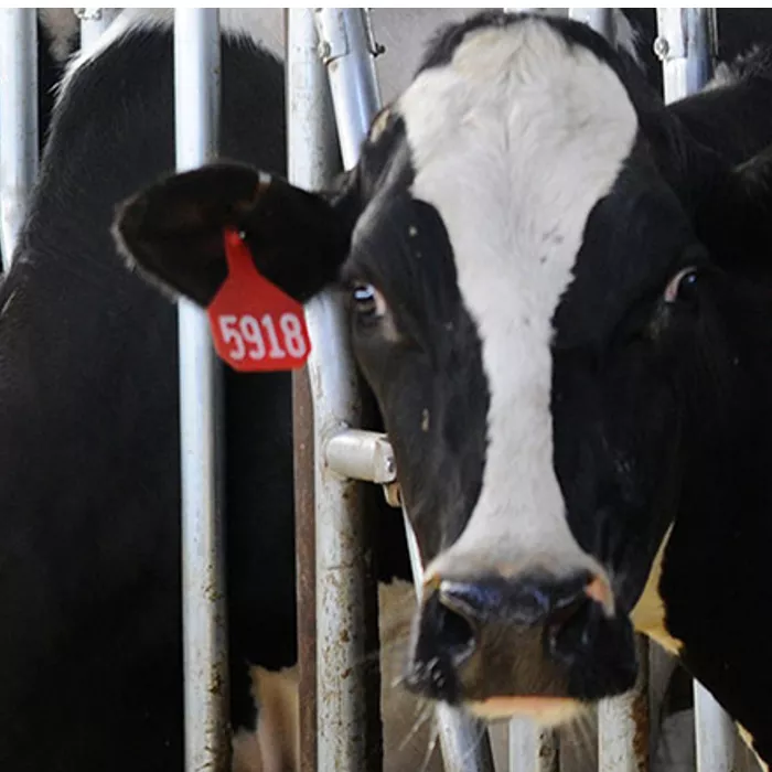 Nutraminka Bufor WRC 20 kg