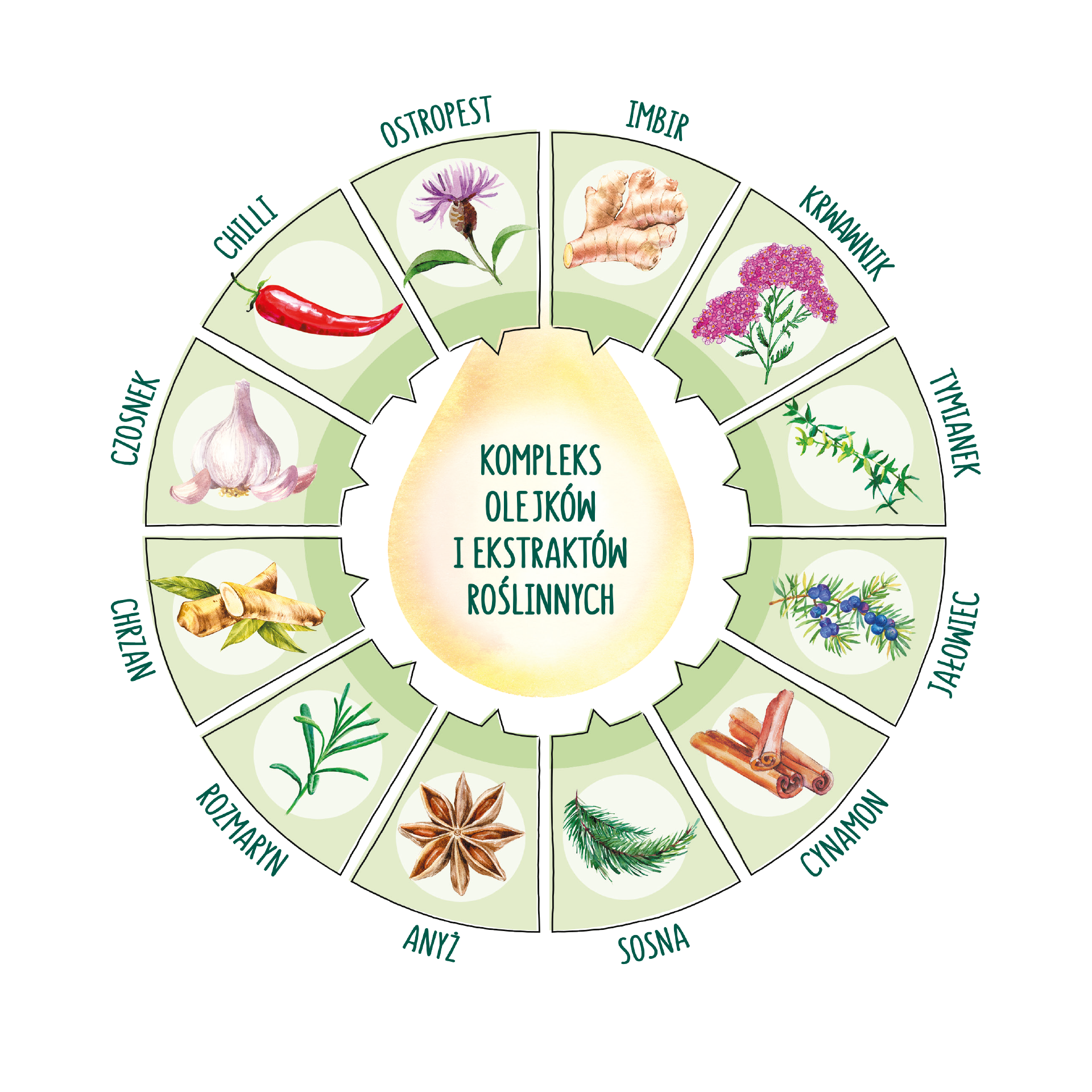 Pasza Kurka Naturka Nioska z ziarnami