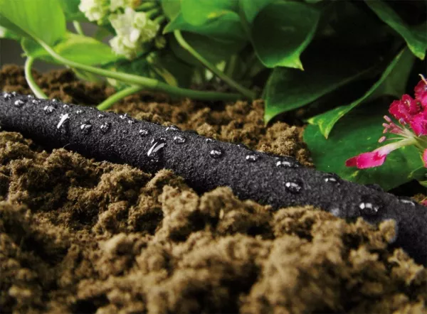 Wąż ogrodowy nawadniający 15 mb Soaker Hose